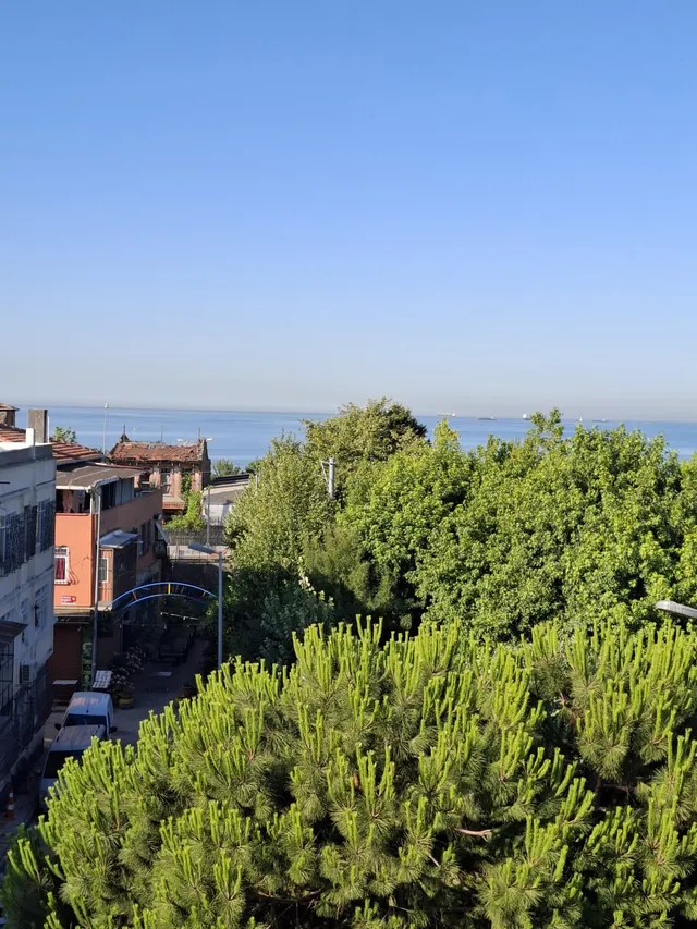 Çam ağaçlarının ardında Marmara Denizi manzarası