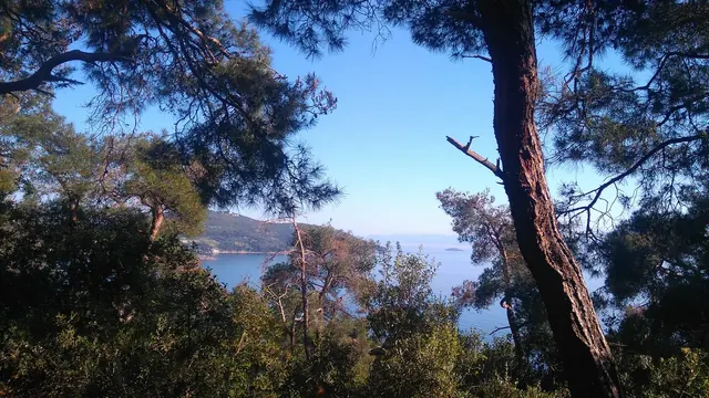 Adalar (Büyükada, Heybeliada)